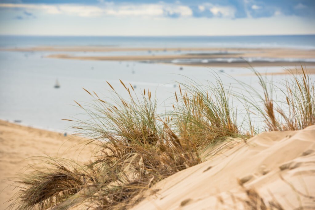 balade en bateau sur le bassin d'arcachon - vue de la plage